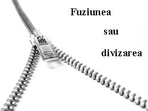 Fuziuni și divizări societăți – Beneficii și consultanță